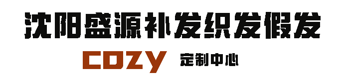 沈阳盛源cozy织发补发假发定制中心 logo